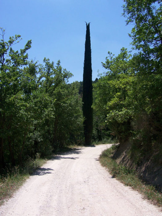Auf Dem Weg Nach Assisi