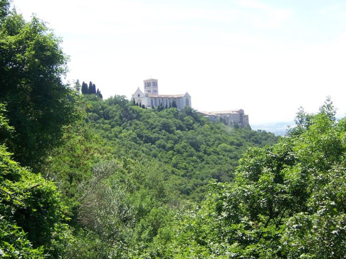 Basilica Di San Francesco1